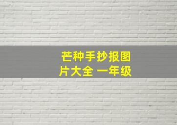 芒种手抄报图片大全 一年级